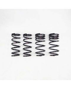 RS-R Ti2000 Down Lowering Springs for Lexus LC500 2018 - T981TD
